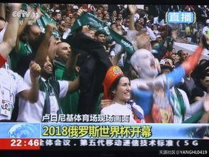 吃瓜群众的娱乐时代,娱乐时代下的全民娱乐盛宴  第1张